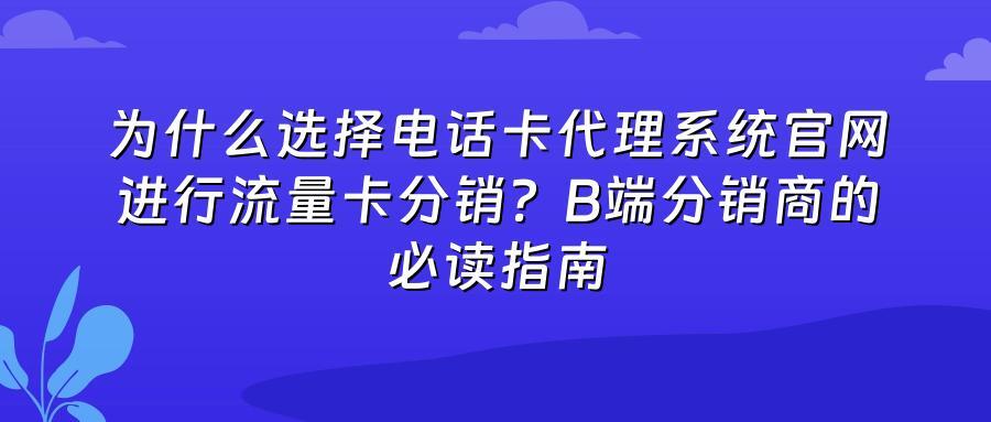 为什么选择电话卡代理系统官网进行流量卡分销？B端分销商的必读指南