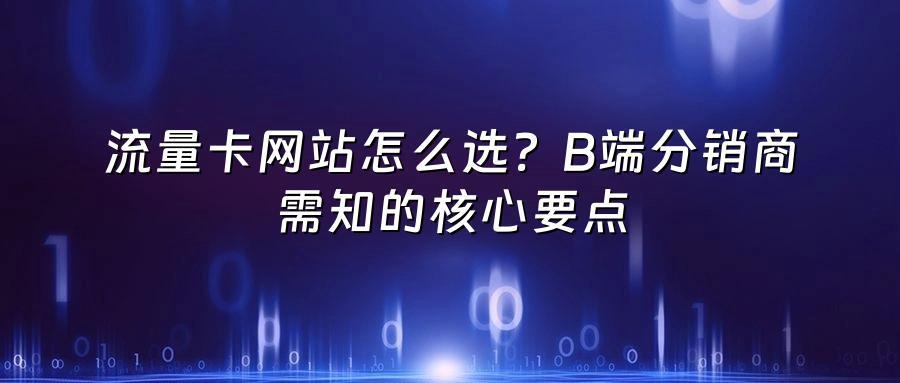 流量卡网站怎么选？B端分销商需知的核心要点