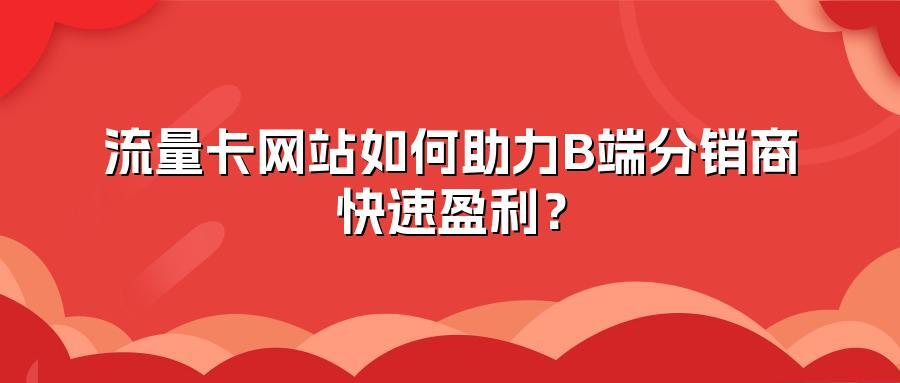 流量卡网站如何助力B端分销商快速盈利？