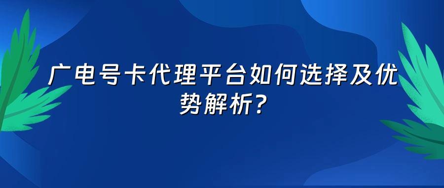 广电号卡代理平台如何选择及优势解析？
