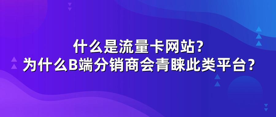 什么是流量卡网站？为什么B端分销商会青睐此类平台？