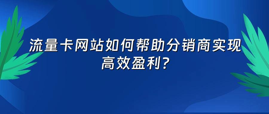 流量卡网站如何帮助分销商实现高效盈利？