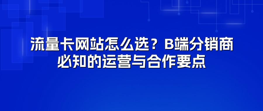 流量卡网站怎么选？B端分销商必知的运营与合作要点