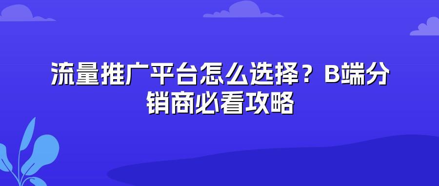 流量推广平台怎么选择？B端分销商必看攻略