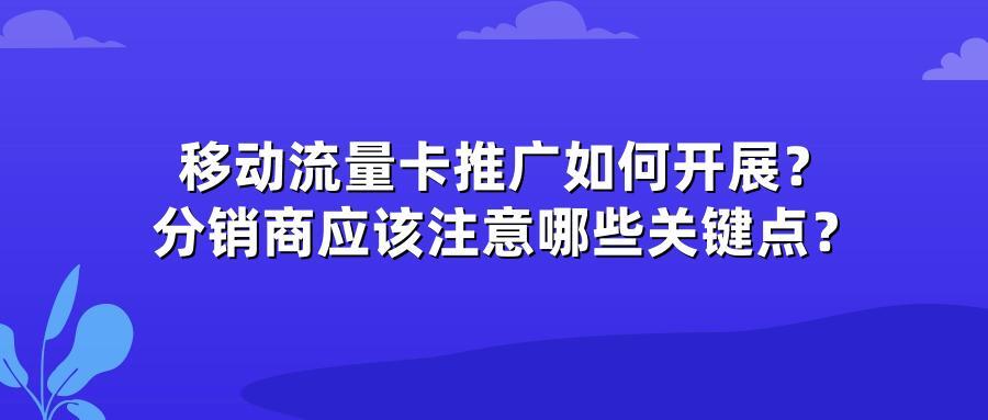 移动流量卡推广如何开展？分销商应该注意哪些关键点？