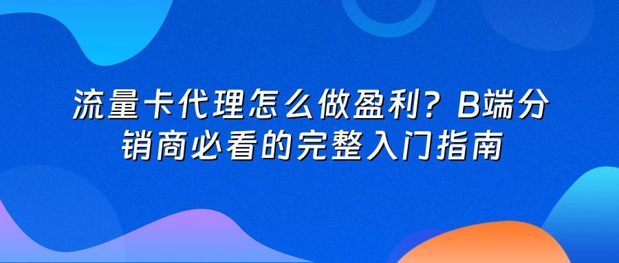 流量卡代理怎么做盈利？B端分销商必看的完整入门指南