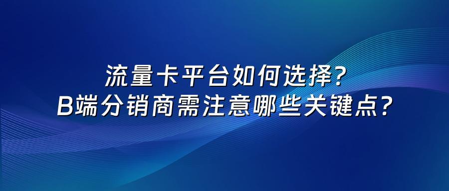 流量卡平台如何选择?B端分销商需注意哪些关键点?