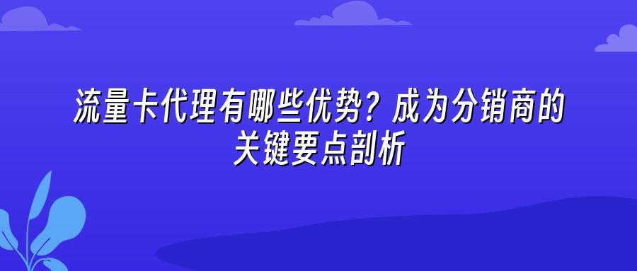 流量卡代理有哪些优势？成为分销商的关键要点剖析