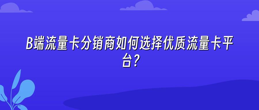 B端流量卡分销商如何选择优质流量卡平台？