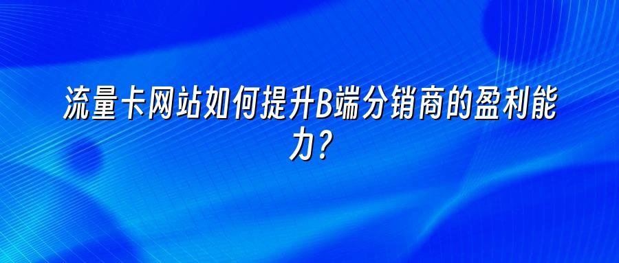 流量卡网站如何提升B端分销商的盈利能力？