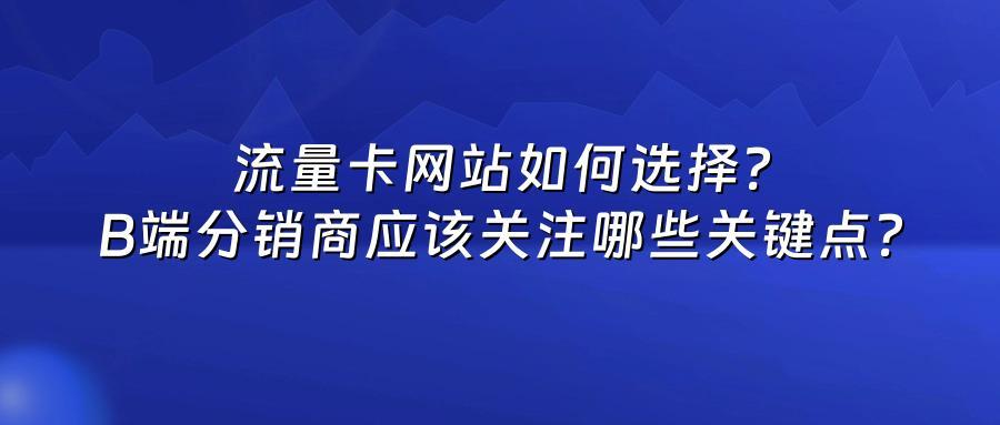 流量卡网站如何选择？B端分销商应该关注哪些关键点？