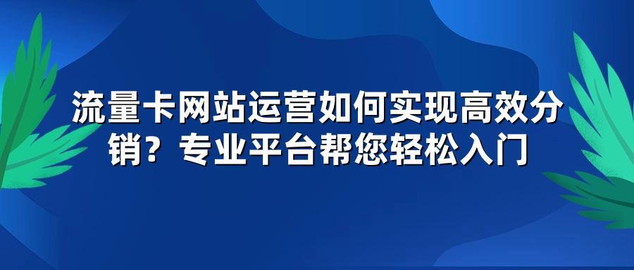 流量卡网站运营如何实现高效分销？专业平台帮您轻松入门