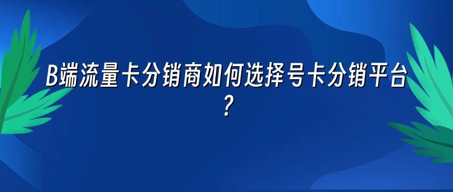 B端流量卡分销商如何选择号卡分销平台？