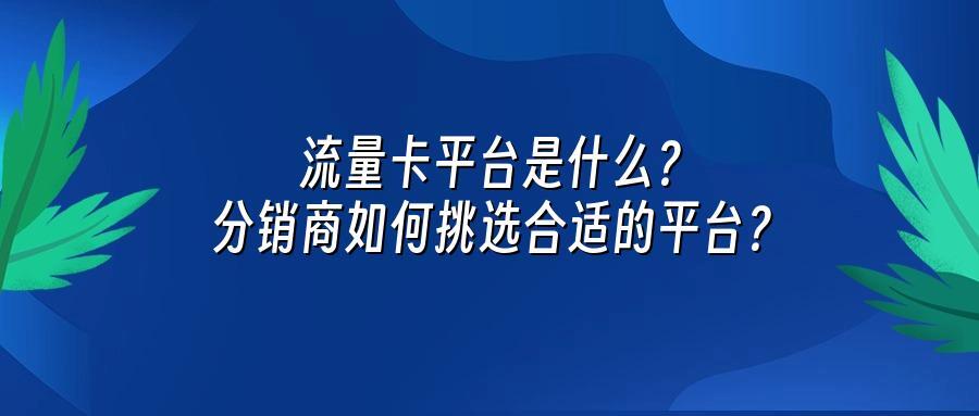 流量卡平台是什么?分销商如何挑选合适的平台?