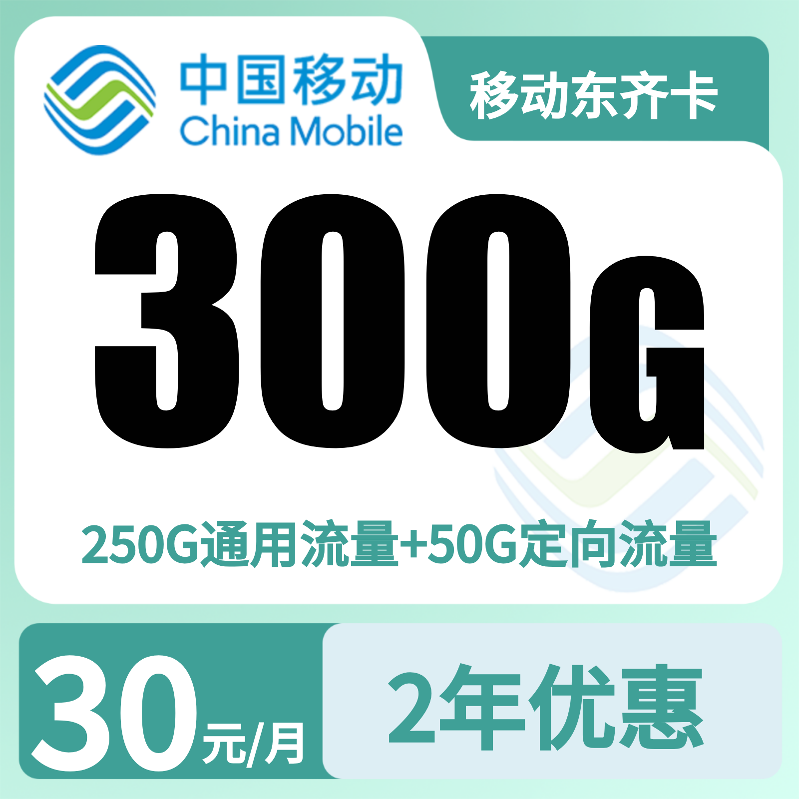 GY移动东齐卡 | 30元月享300G流量+100分钟通话,仅发山东。